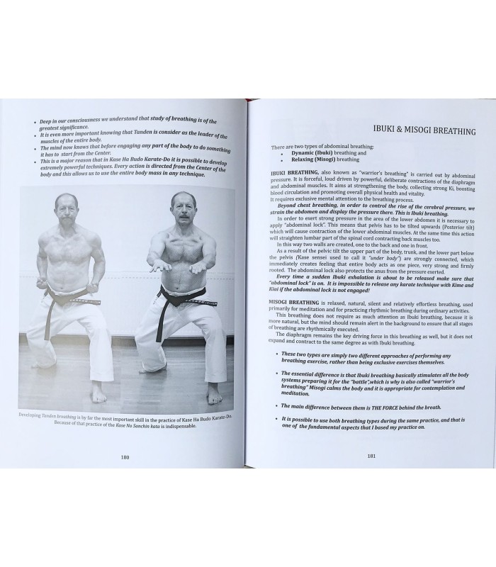 Book TANDEN KASE HA BUDO KARATE-DO, Velibor Dimitrijevic, English