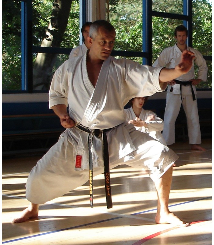 Karategi Kamikaze EUROPA - Custom made