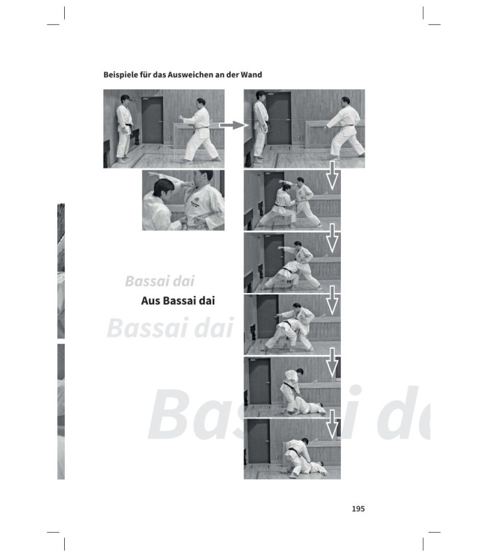 Book NAKA TATSUYA Zentrale Konzepte des Budô-Karate, german