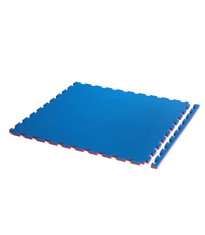 Tatami ECONOMIC, Jigsaw Mat 100 x 100 x 2,2 cm, RED-BLUE reversible