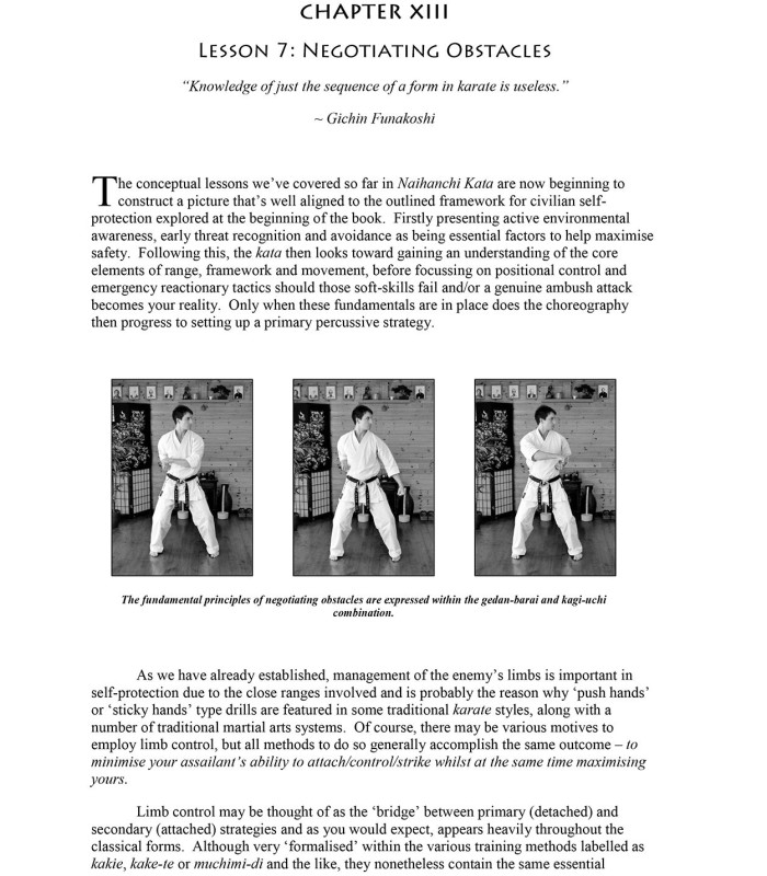 Book CHRIS DENWOOD - Naihanchi (Tekki) Kata: The Seed of Shuri Karate, English Vol.2