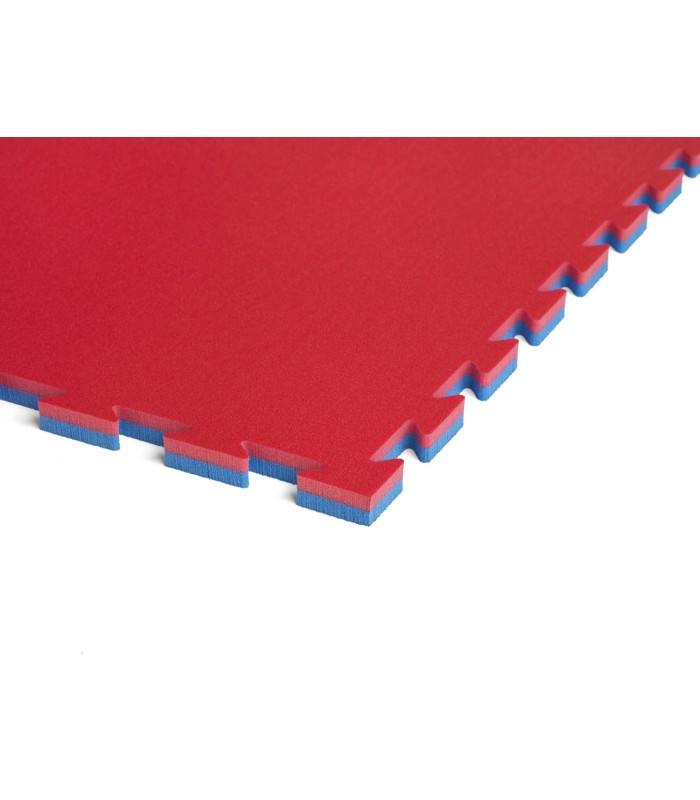 Tatami ECONOMIC, Jigsaw Mat 100 x 100 x 2 cm, RED-BLUE reversible