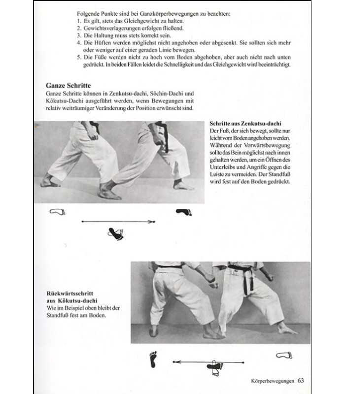 Livro KARATE - Die Kunst der leeren Hand de Master Hidetaka NISHIYAMA, alemão