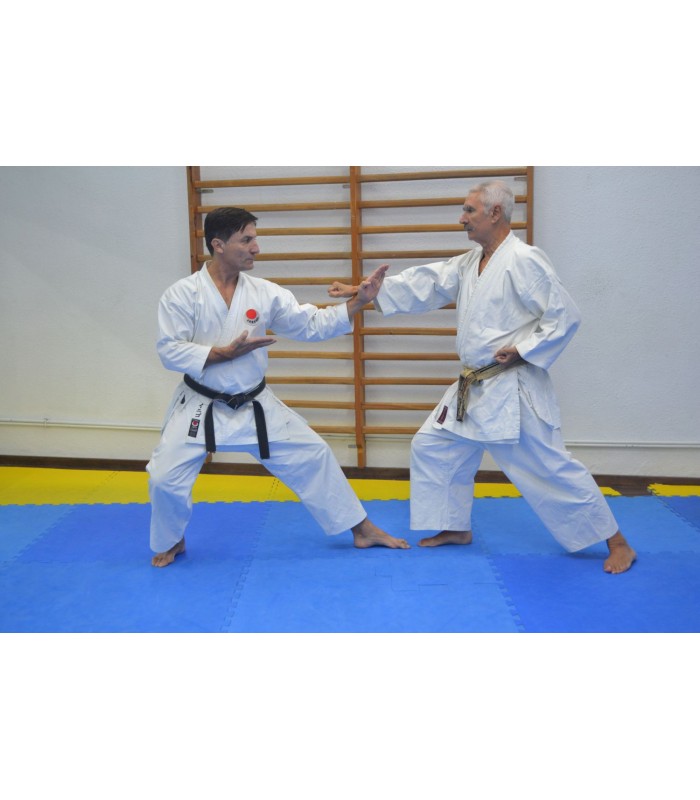 Livre dojo fundazioa ESCRITOS DE KARATE: TAIKYOKU, Félix Sáenz y colaboradores, espagnol