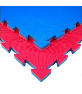 Tatami BEGINNER per uso non professional, puzzle, 100 x 100 x 2 cm, ROSSO-BLU, reversibile